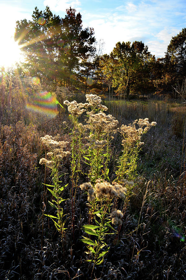 Fall Sunrise in Glacial Park #1 Photograph by Ray Mathis