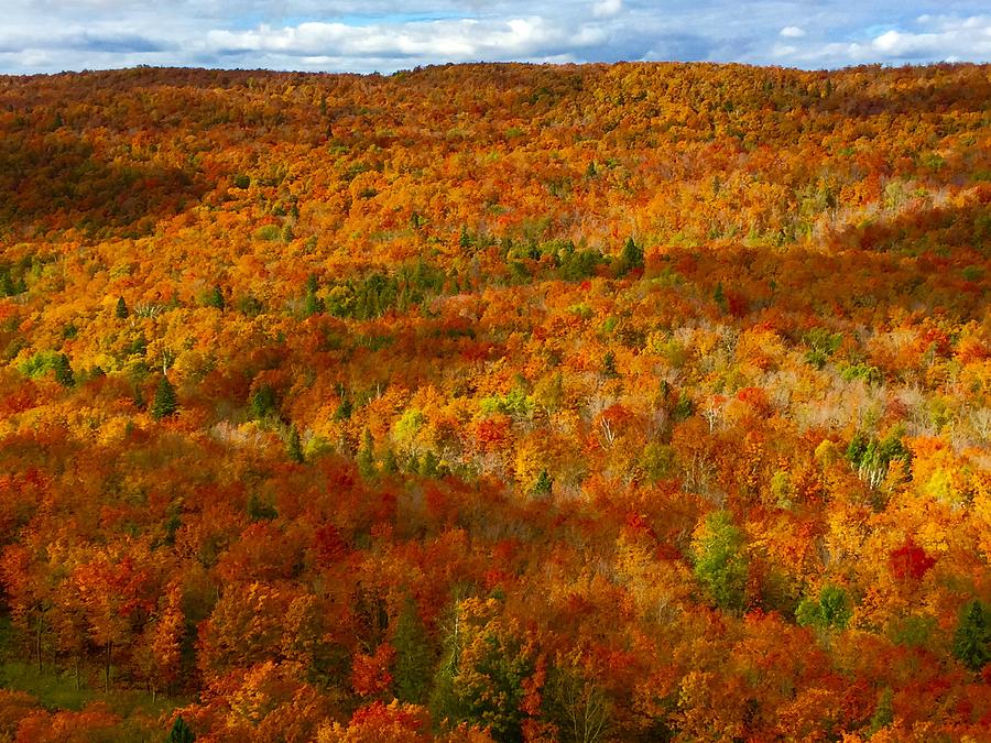 Fall Wonderland Photograph by Linda Olcott - Fine Art America