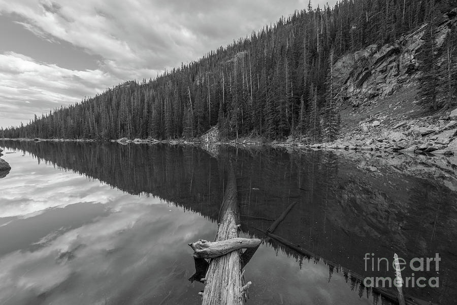 Fallen Log in Dream Lake #1 Photograph by Michael Ver Sprill