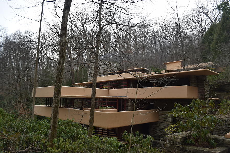 Fallingwater #1 Photograph by Curtis Krusie
