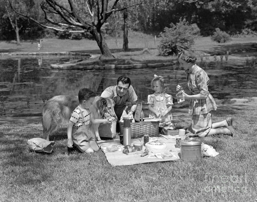 Family Picnic, C.1950s #1 Photograph by H. Armstrong Roberts/ClassicStock