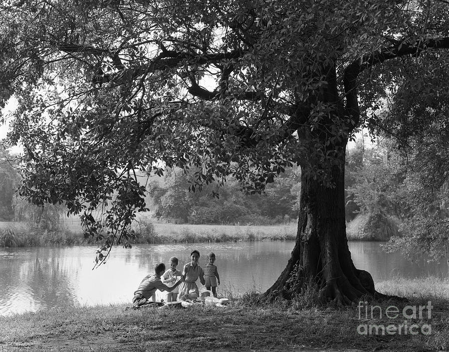 Family Picnic, C.1960s #1 Photograph by H. Armstrong Roberts/ClassicStock