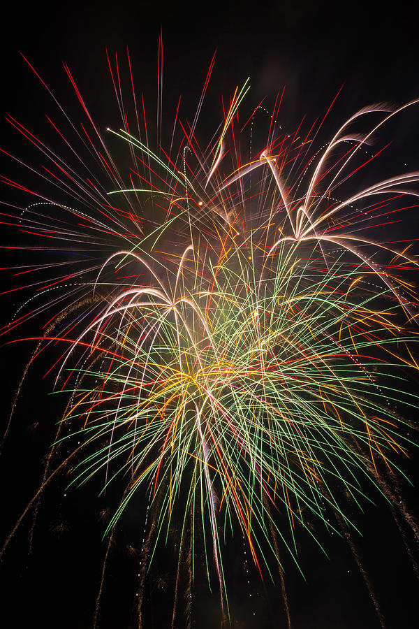 Independence Day Photograph - Fantastic Fireworks #1 by Garry Gay