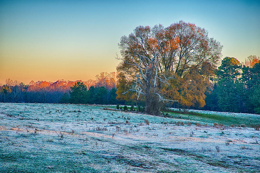 Farm Field With Frost In The Morning Sunrise Hour #1 Photograph by Alex ...