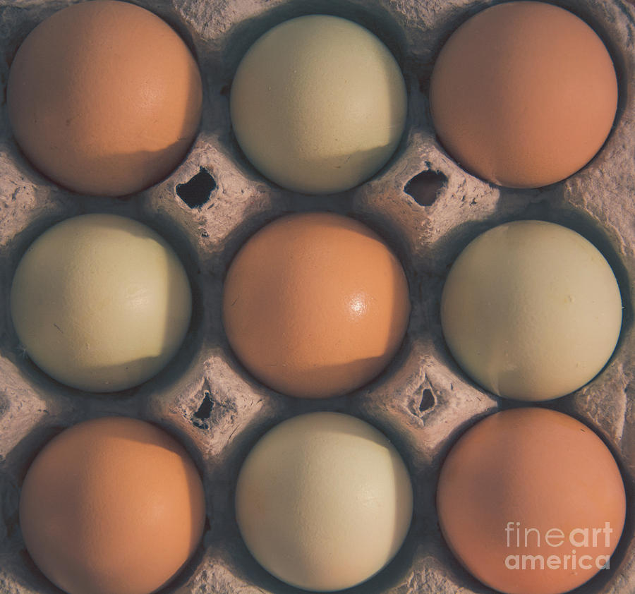 Farm Fresh Eggs #1 Photograph by Cheryl Baxter
