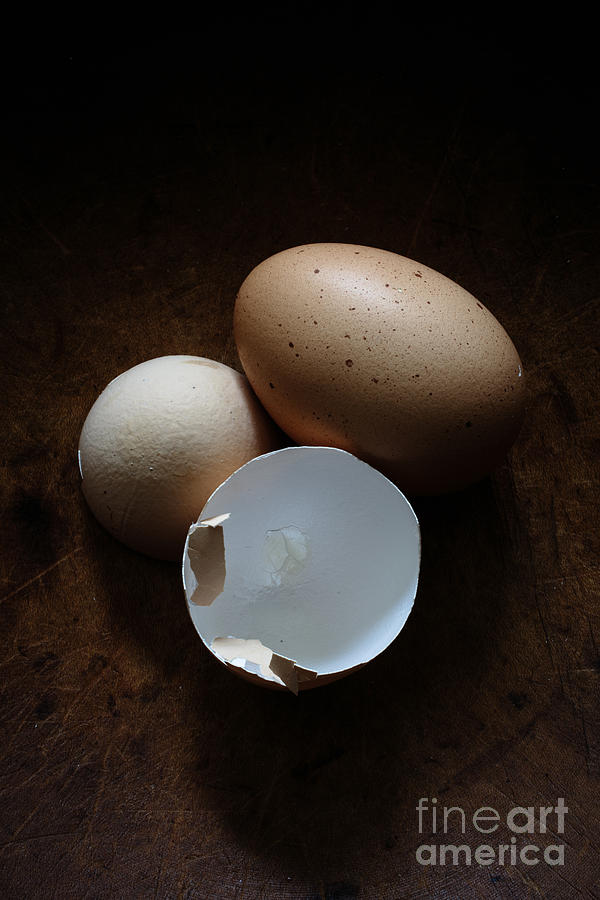 Farm Fresh Eggs #2 Photograph by Edward Fielding