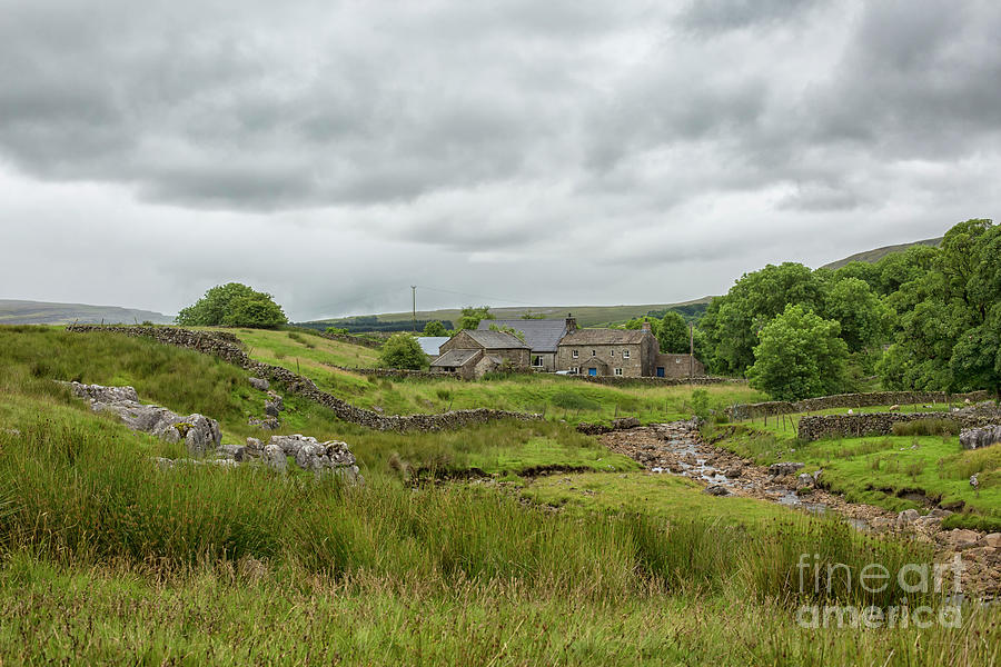 Farm in the Yorkshire Dales Photograph by Patricia Hofmeester