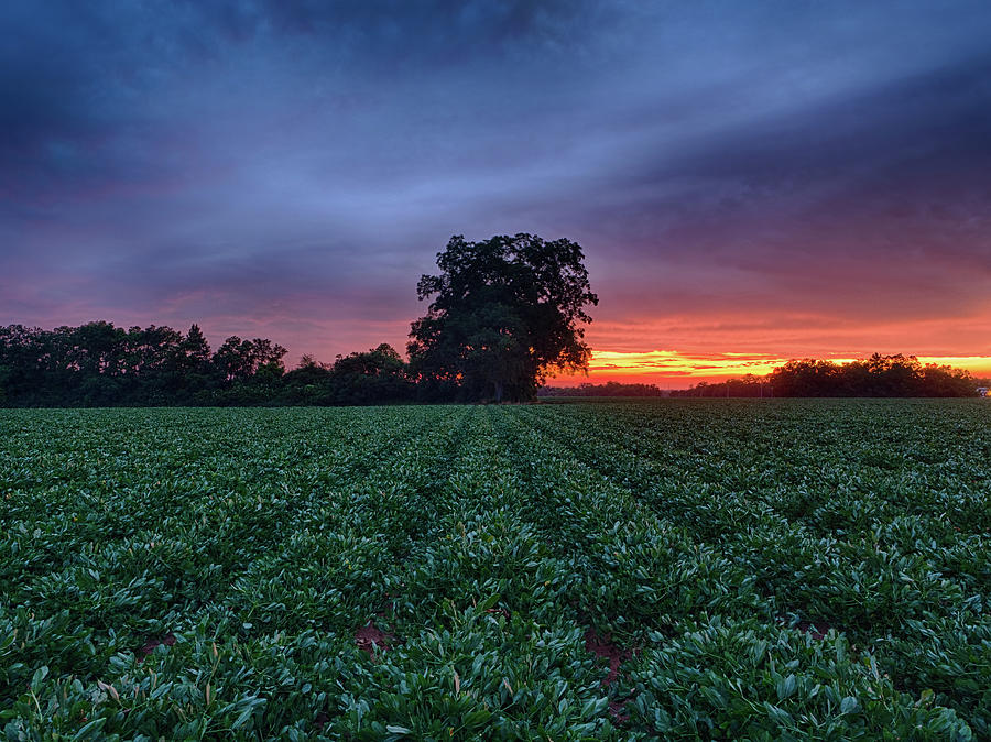 Farm Sunset #1 Photograph by Brad Boland