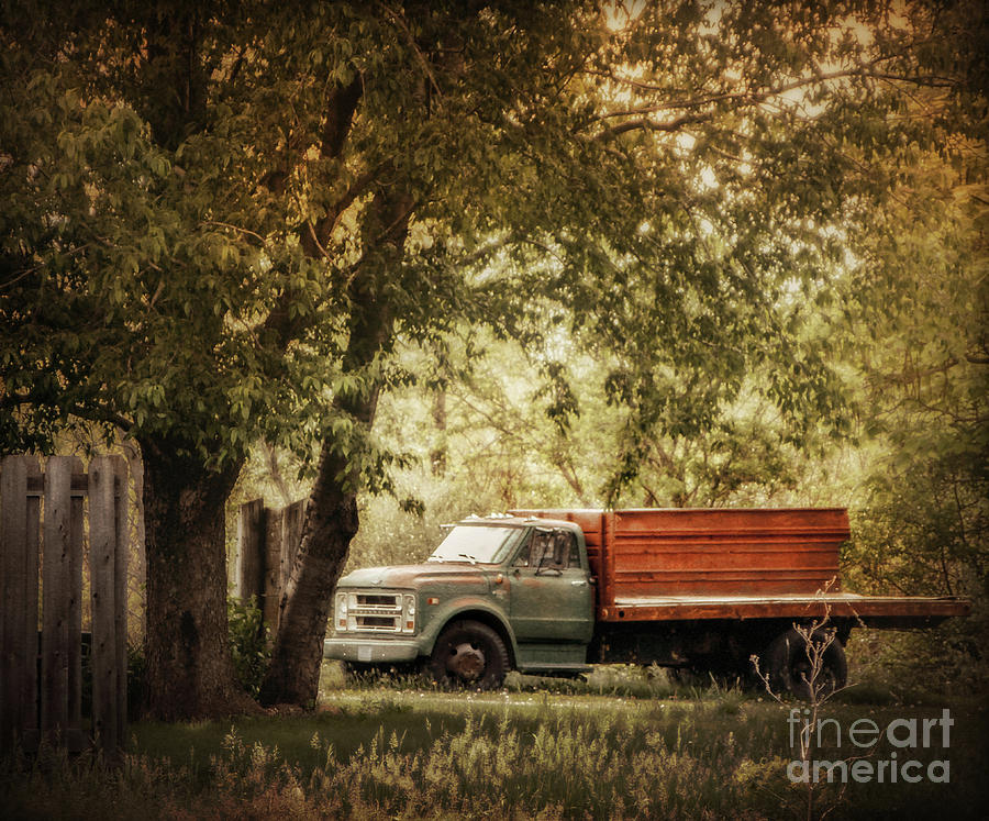 Farm Truck #1 Photograph by John Anderson