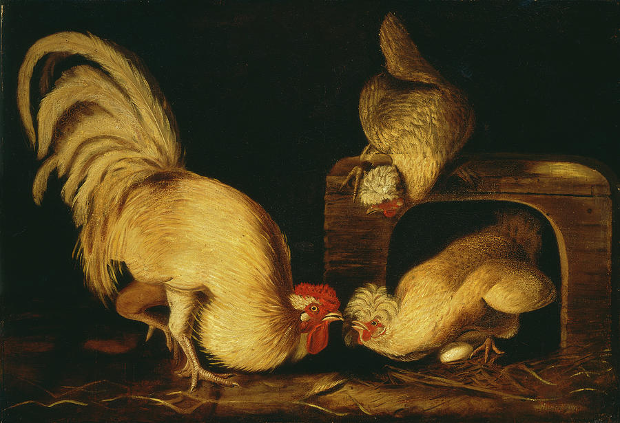 Farmyard Fowls #1 Painting by Celestial Images