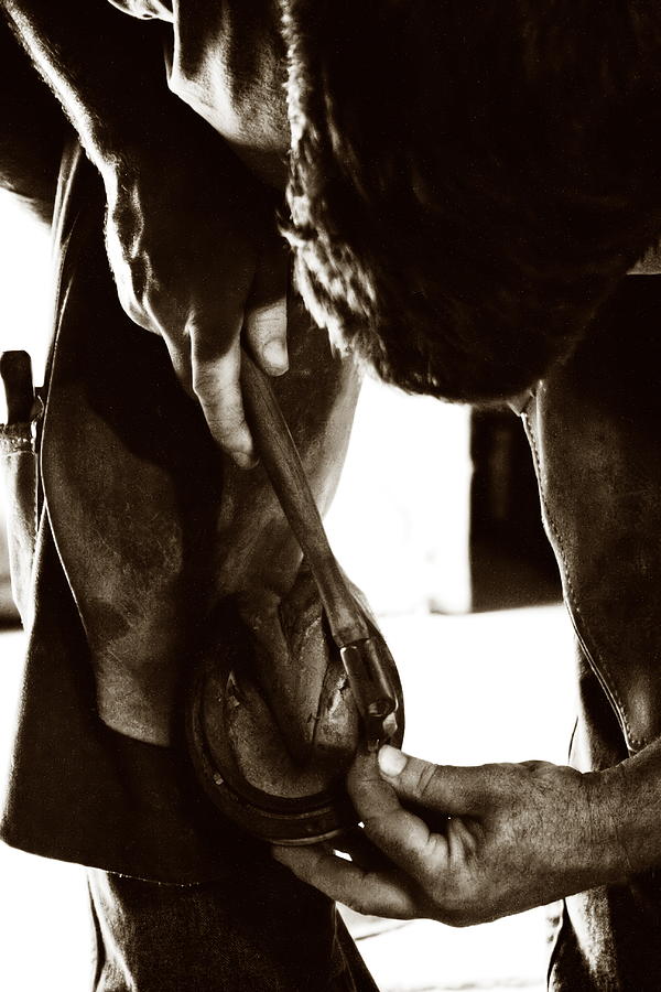 Farrier at Work #1 Photograph by Angela Rath