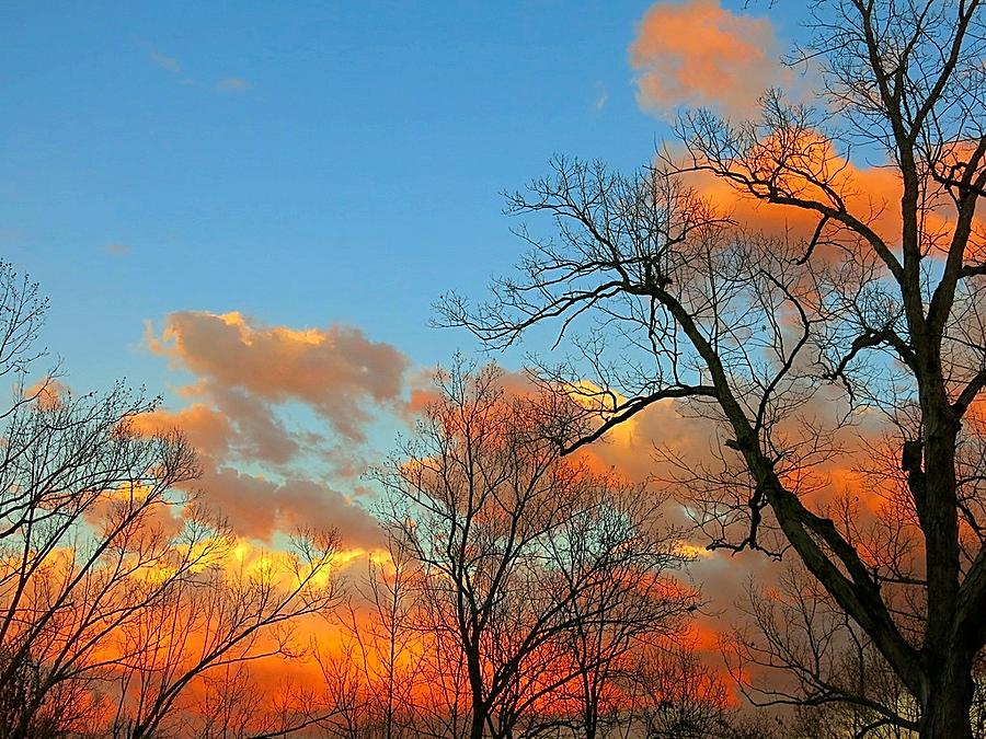 February Sunset #1 Photograph by Betty Buller Whitehead