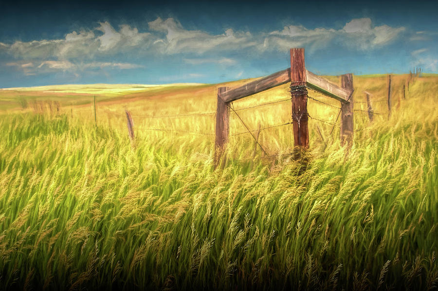 Fence Corner on the South Dakota Prairie #1 Photograph by Randall Nyhof