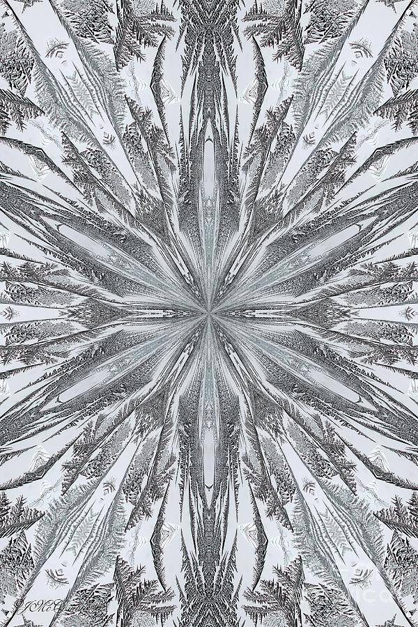 Fern Frost Mandala #5 Digital Art by J McCombie