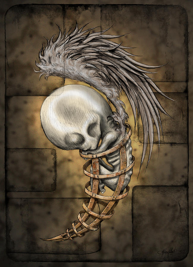 Skull Digital Art - Fetus Arc #1 by Kalynn Kallweit