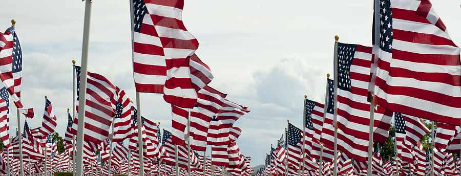 Field Full Of Waving American Flags Photograph By Shelley Dennis