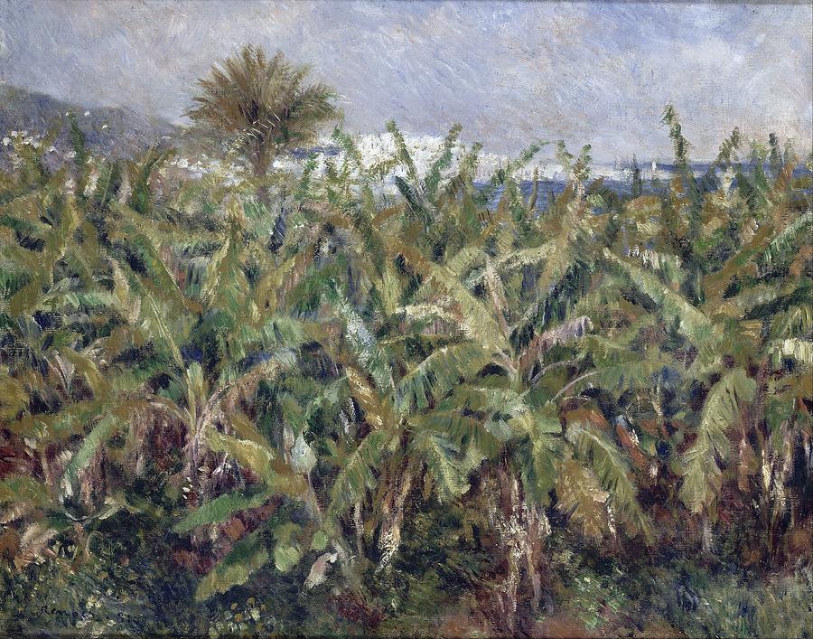 Field Of Banana Trees #1 Painting by Auguste Renoir