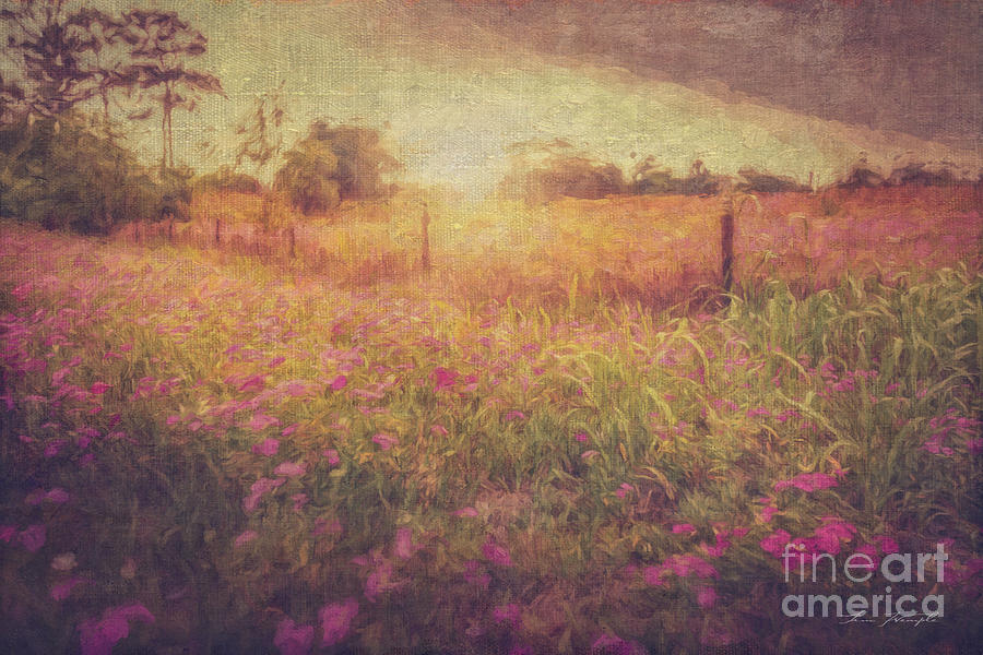 Field of Pink #1 Digital Art by Tim Wemple