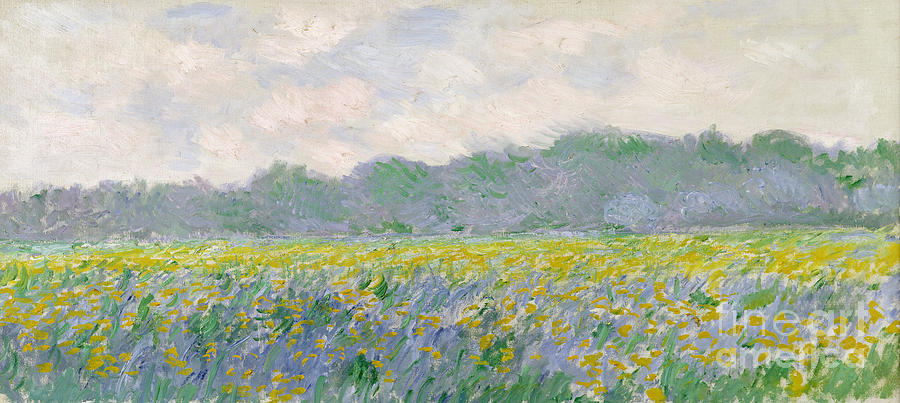 Claude Monet Painting - Field Of Yellow Irises At Giverny #1 by Celestial Images
