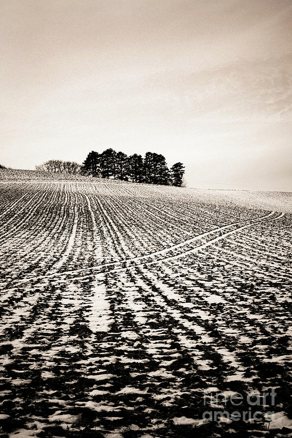 Winter Photograph - Field with snow-covered furrows. Auverge. France. Europe. #1 by Bernard Jaubert
