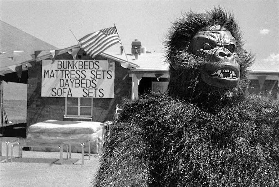 Film Homage Barbara Payton Bride Of The Gorilla 1951 Gorilla Pitchman Tucson Arizona 1984 Photograph by David Lee Guss