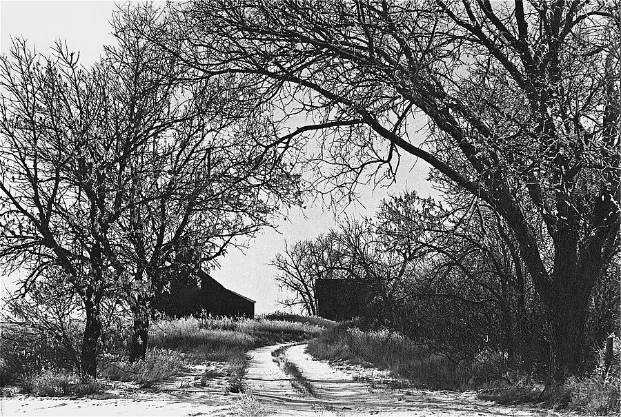 Film noir Burt Lancaster Robert Siodmak The Killers 1946 farm house near Aberdeen SD 1965 #1 Photograph by David Lee Guss