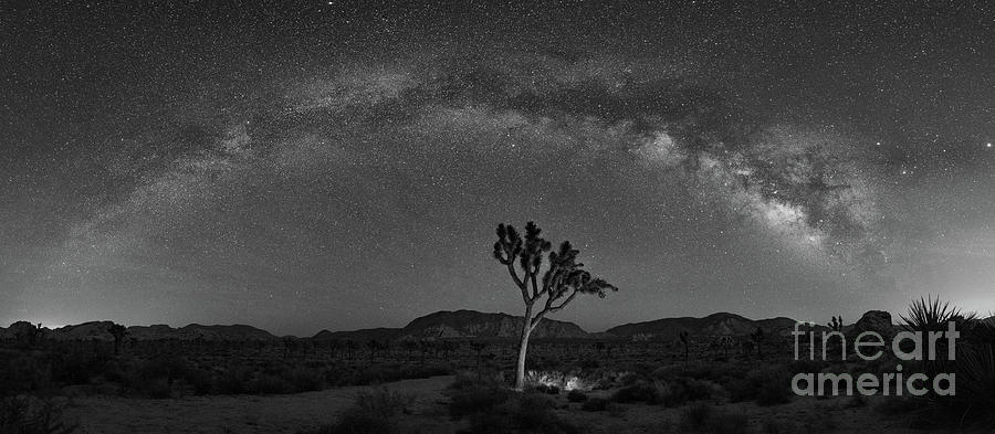 Tree Photograph - Finding Joshua Tree Milky Way Panorama #1 by Michael Ver Sprill