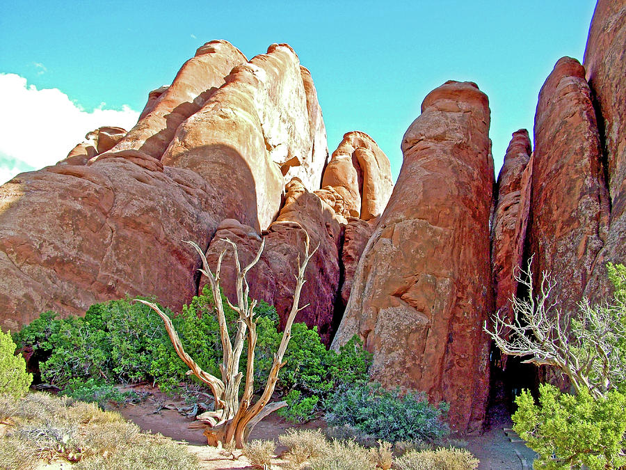 Fins by Sand Dune Arch in Arches National Park, Utah  #1 Photograph by Ruth Hager