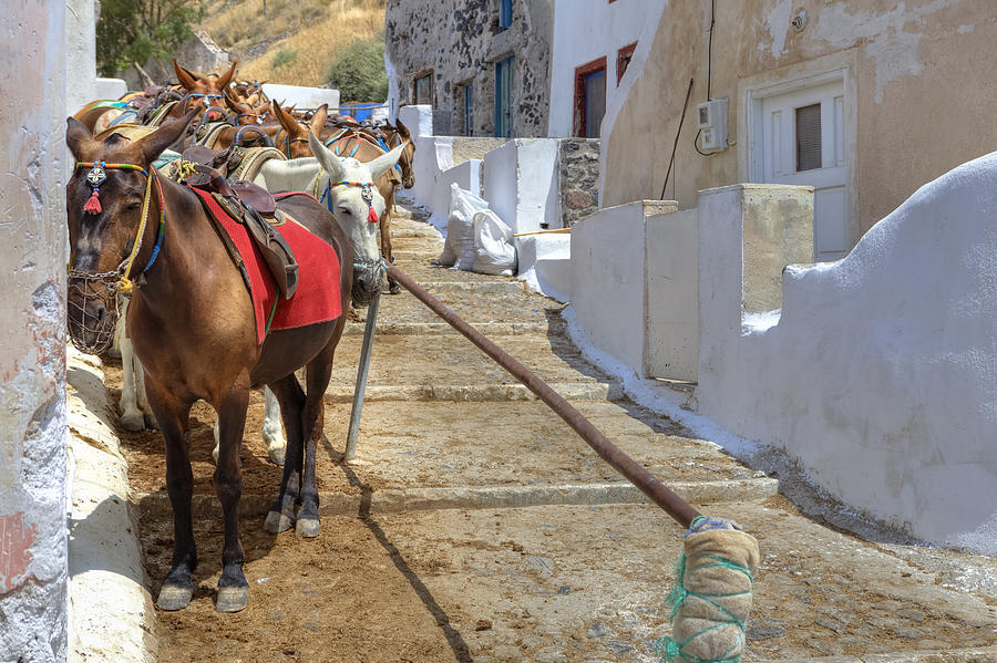Greek Photograph - Fira - Santorini #1 by Joana Kruse