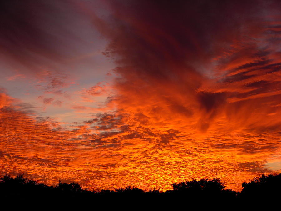 Fire In The Sky #1 Photograph by Amanda Vouglas