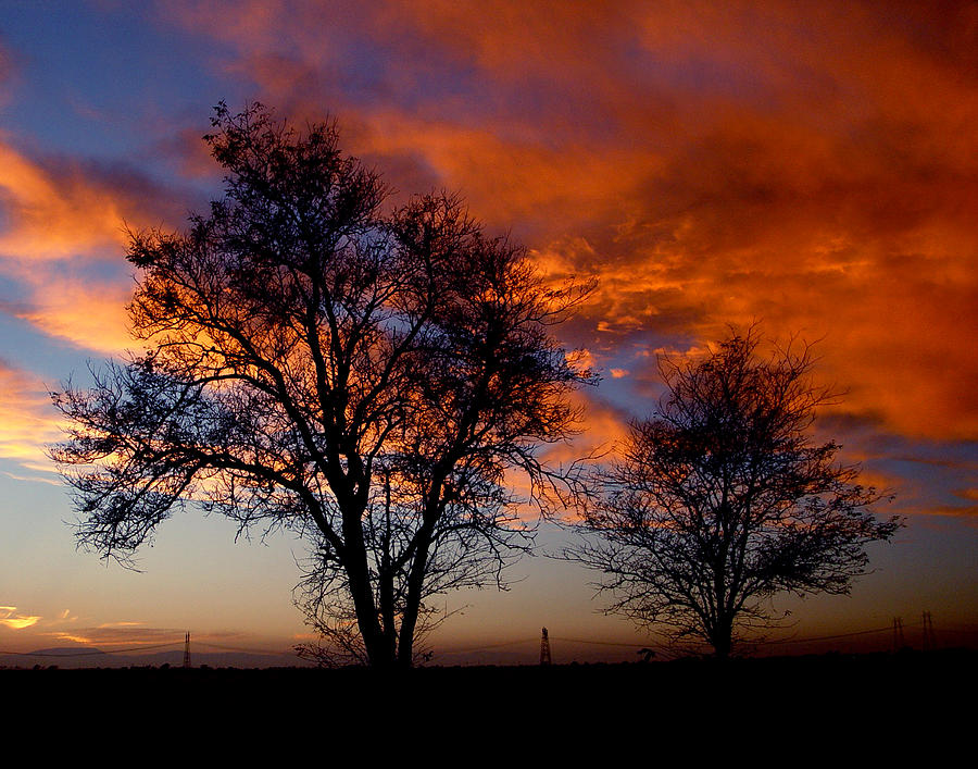 Sunset Photograph - Fire in the Sky by Peter Piatt