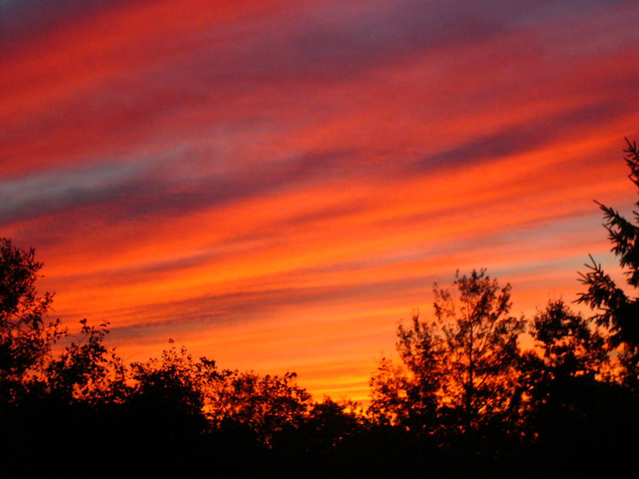 Fire In the Sky #1 Photograph by Tyna Silver