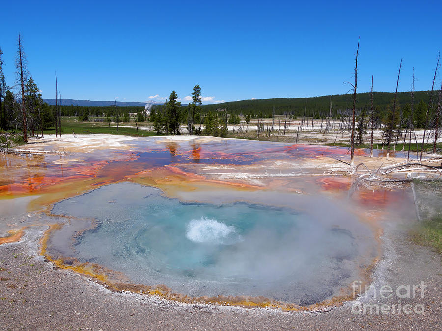 Firehole Spring in Yellowstone National Park #1 Photograph by Louise Heusinkveld
