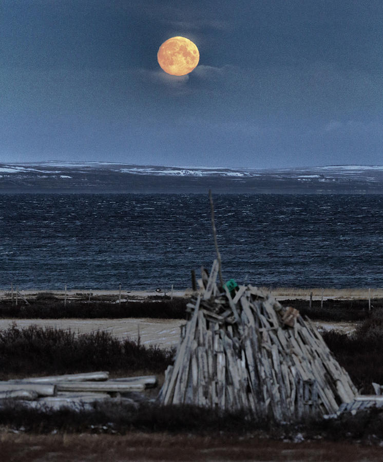 Firewood and the Moon #1 Photograph by Pekka Sammallahti