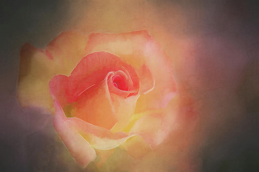 First Bloom Digital Art by Terry Davis