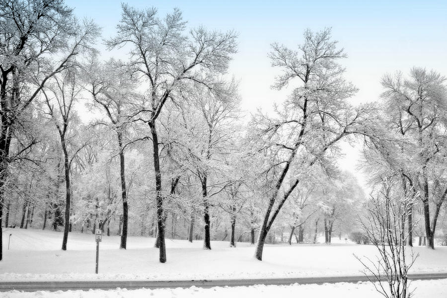 Winter Digital Art - First Snow by Kay Novy