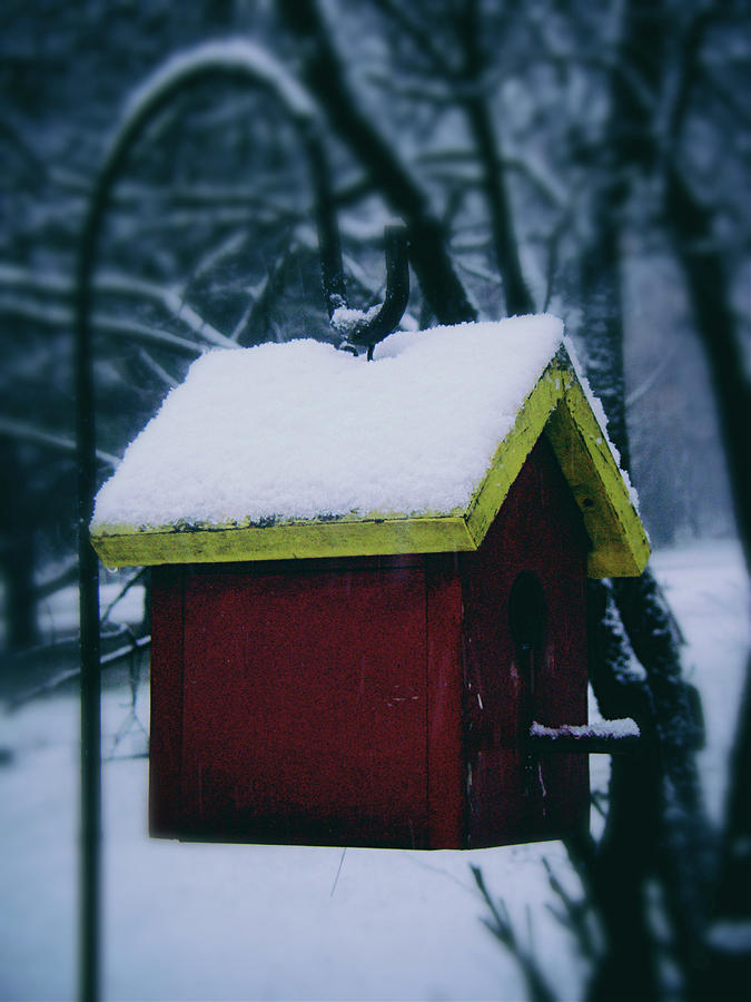 Snow Photograph - First Snow on the Roof by Frank J Casella Snow Photograph - First Snow on the Roof by Frank J Casella