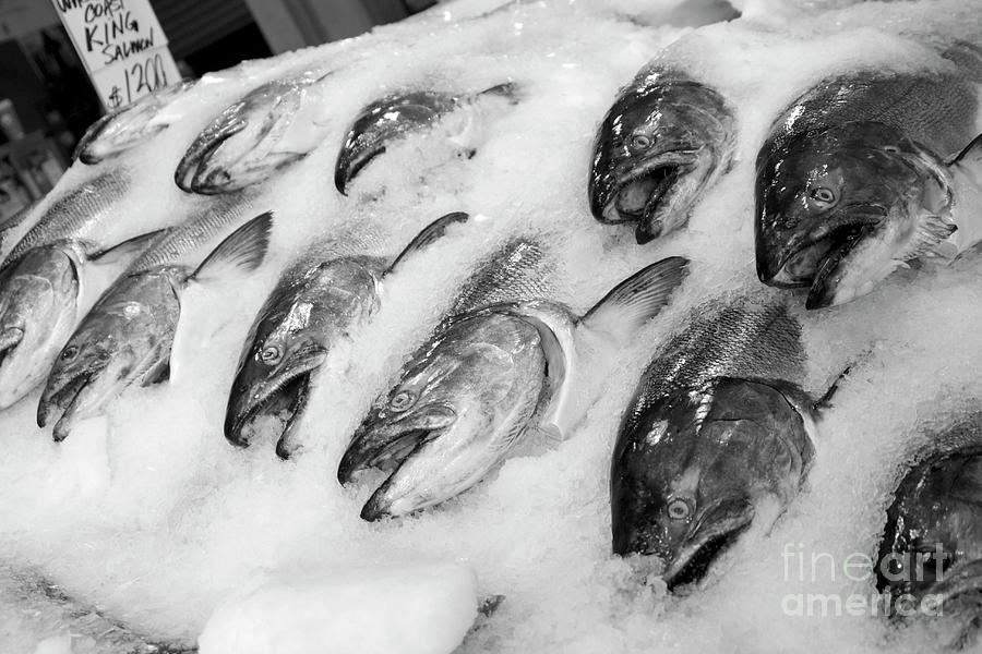 Fish Market  #1 Photograph by Bruce Block