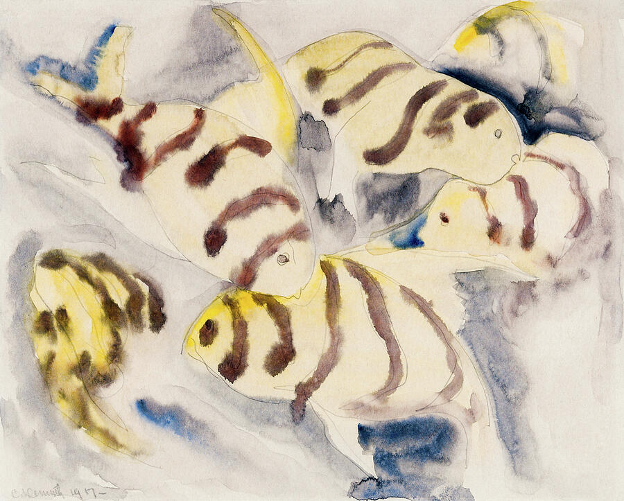 Fish Series, No. 3, from 1917 Drawing by Charles Demuth