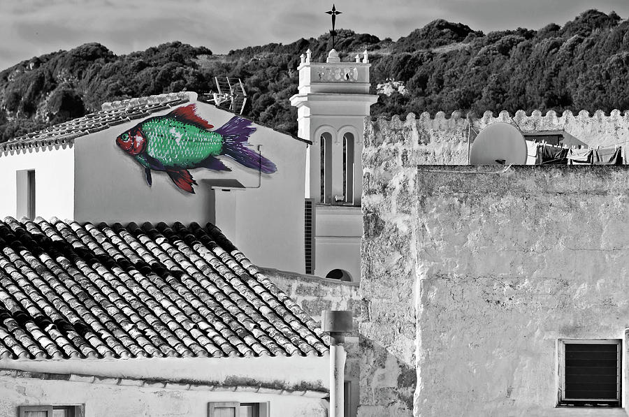 Fish swimming in vintage town roofs #2 Photograph by Pedro Cardona Llambias