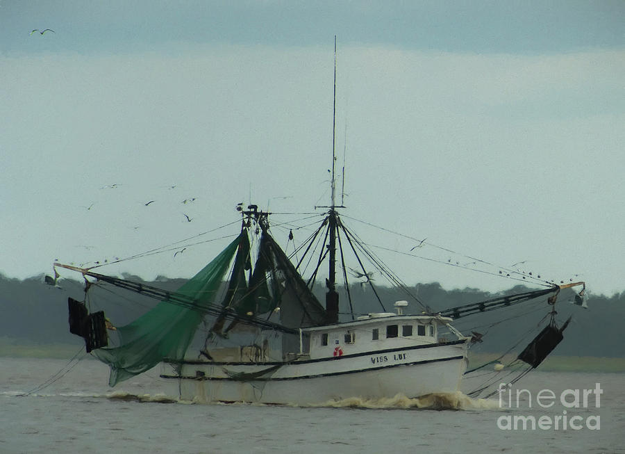Fishing Boat in Georgetown Harbor Along Winyah Bay #2 Photograph by David Oppenheimer