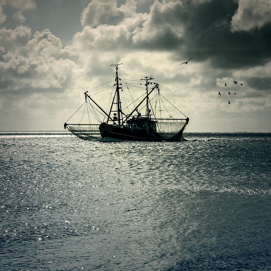 Bird Photograph - Fishing Boat #1 by Joana Kruse