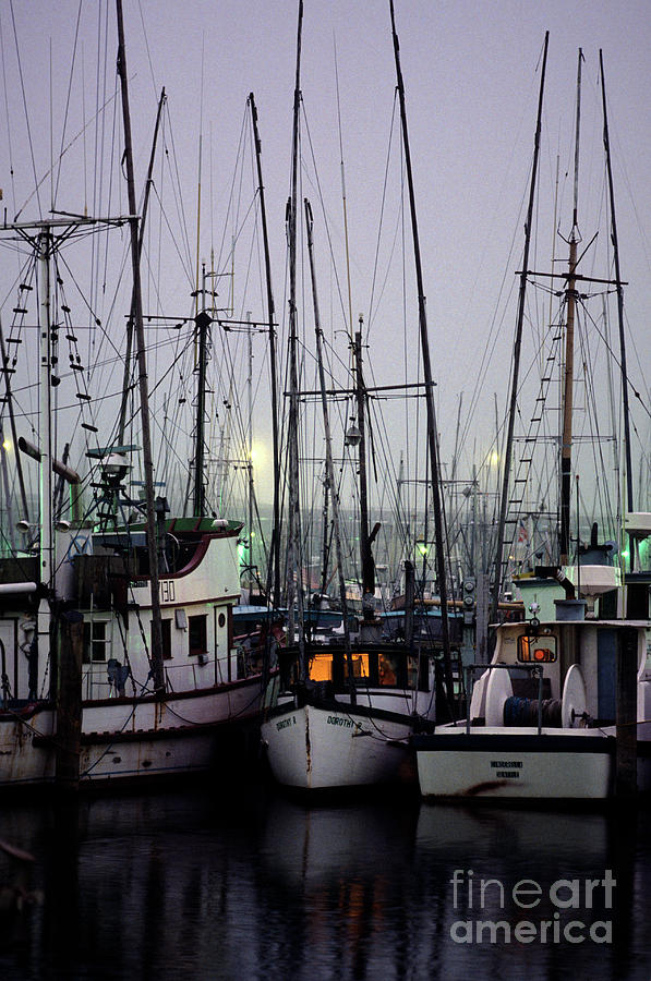 Fishing Boats moored at Fishermans Terminal #1 Photograph by Jim Corwin