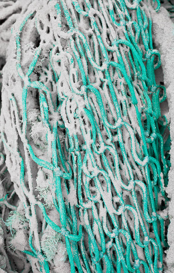 Abstract Photograph - Fishing net #1 by Tom Gowanlock