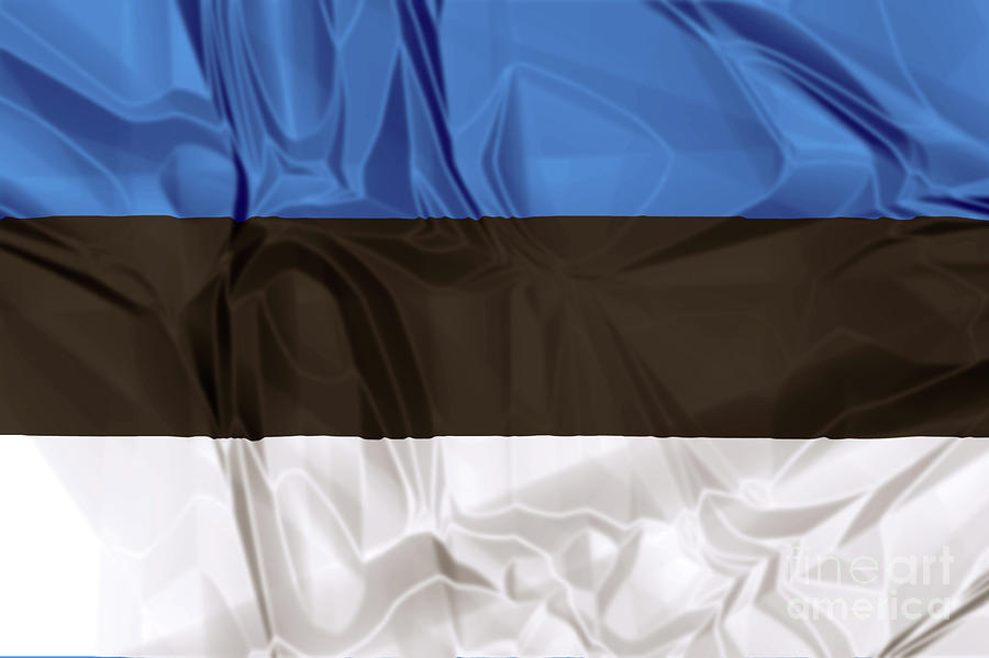 Flag of Estonia #1 Digital Art by Benny Marty