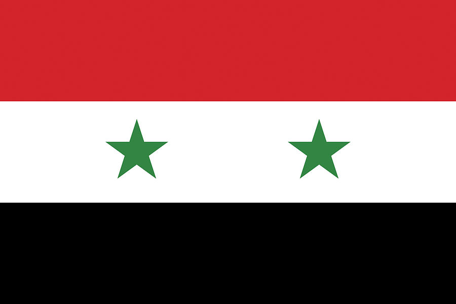 Flag of Syria  #1 Digital Art by Roy Pedersen