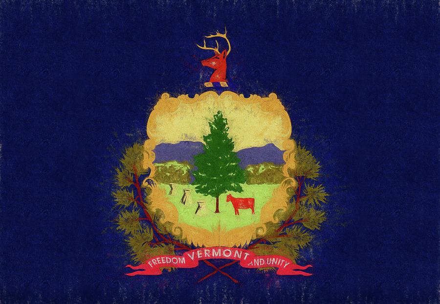 Flag of Vermont Grunge #2 Digital Art by Roy Pedersen