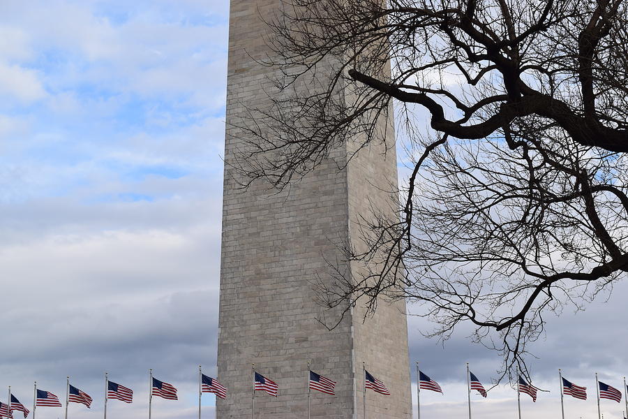 Flags at the Washington Monument #1 Photograph by Curtis Krusie