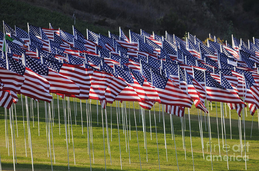 Flags Photograph by Marc Bittan