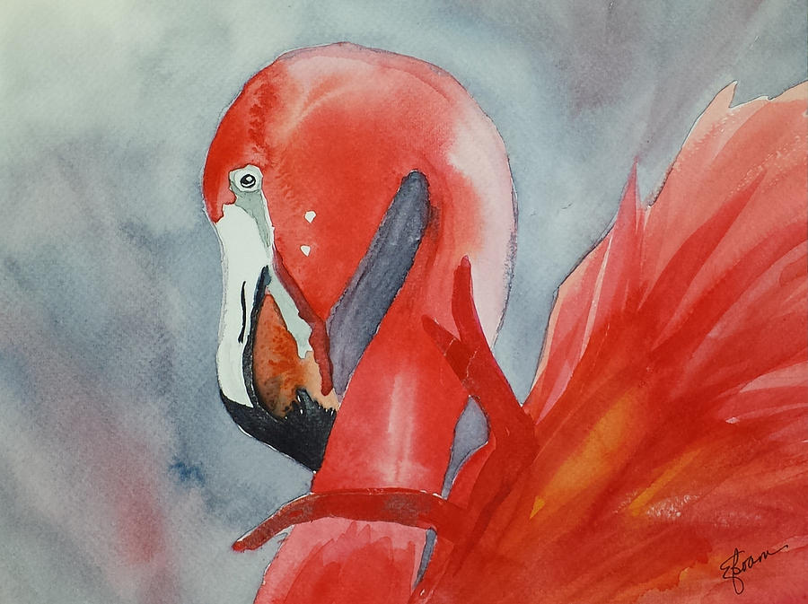 Flamingo by Elise Boam Flamingo by Elise Boam